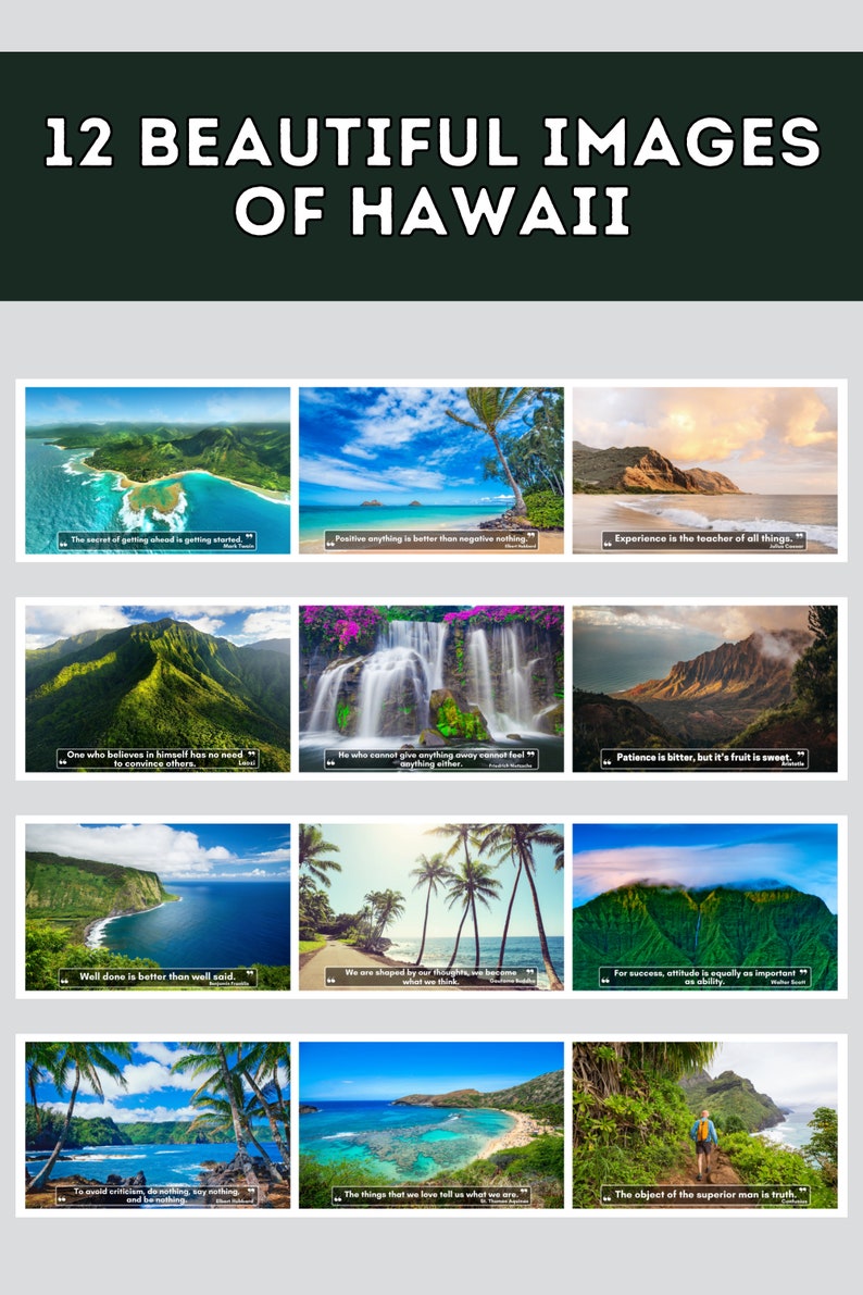 Hawaii Wall Calendar 2024, Cute Gift Idea for Hawaii Lovers Etsy