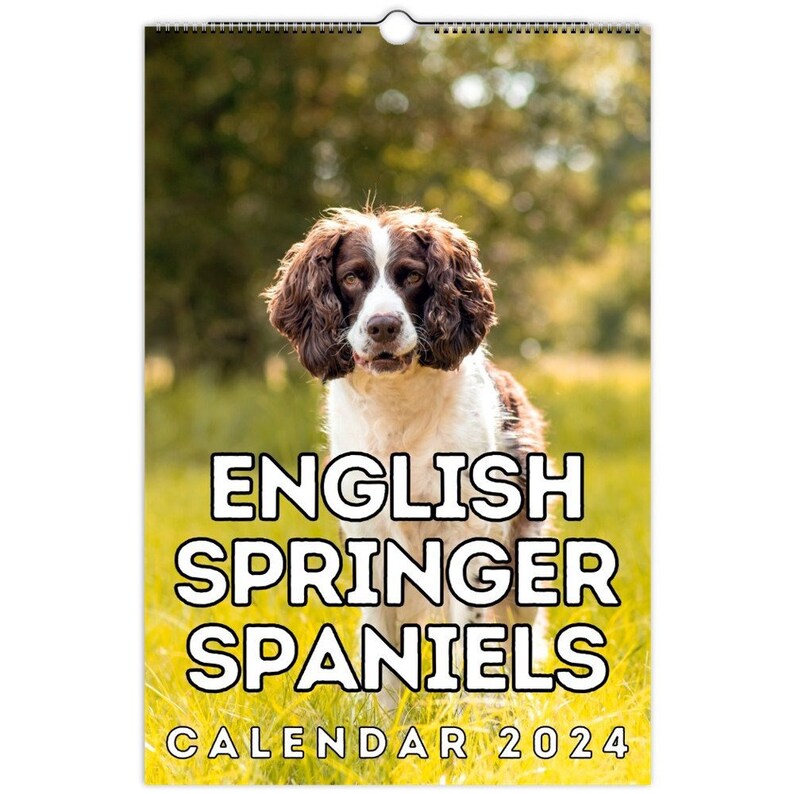 English Springer Spaniels Wall Calendar 2024, Cute Gift Idea for