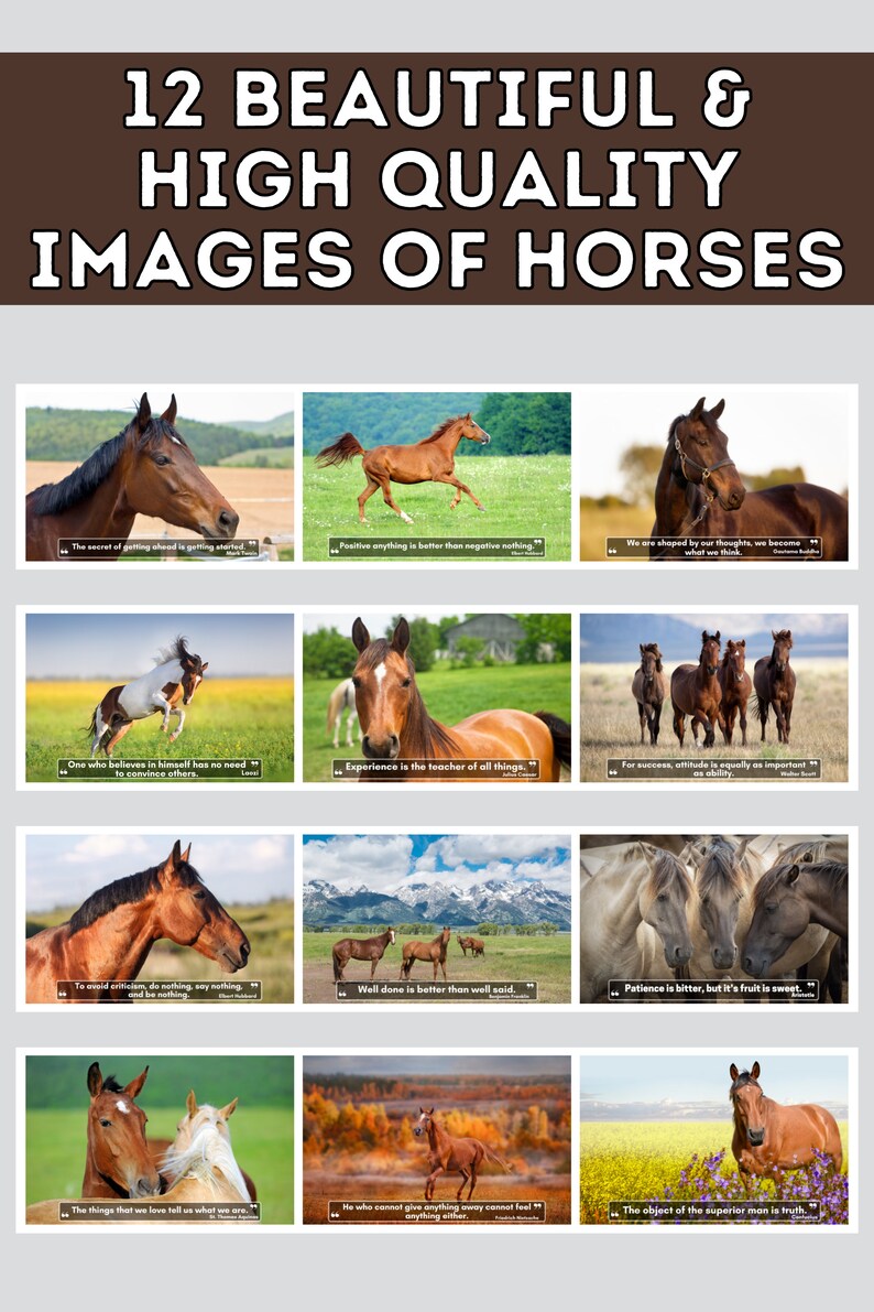Horses Wall Calendar 2024, Horses Gift, Cute Gift Idea for Horse Lovers