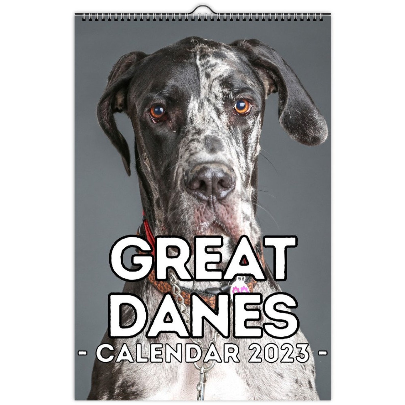 Great Danes Wall Calendar 2023 Cute Gift Idea for Great Dane Etsy