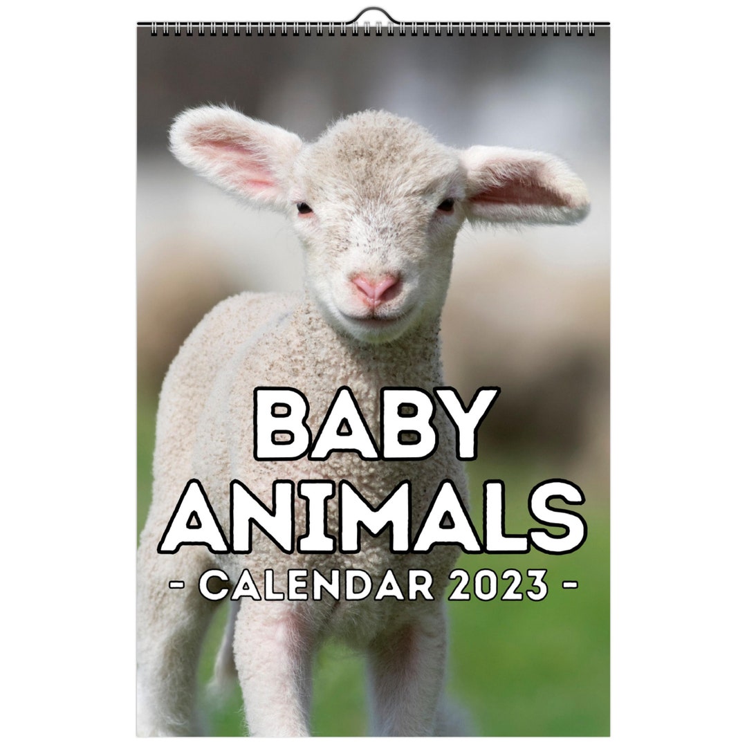 baby-animals-wall-calendar-2023-cute-gift-idea-for-baby-etsy