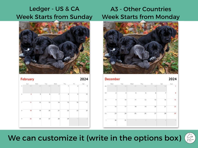 Cane Corso Puppies Wall Calendar 2024, Great Gift Idea for Cane Corso