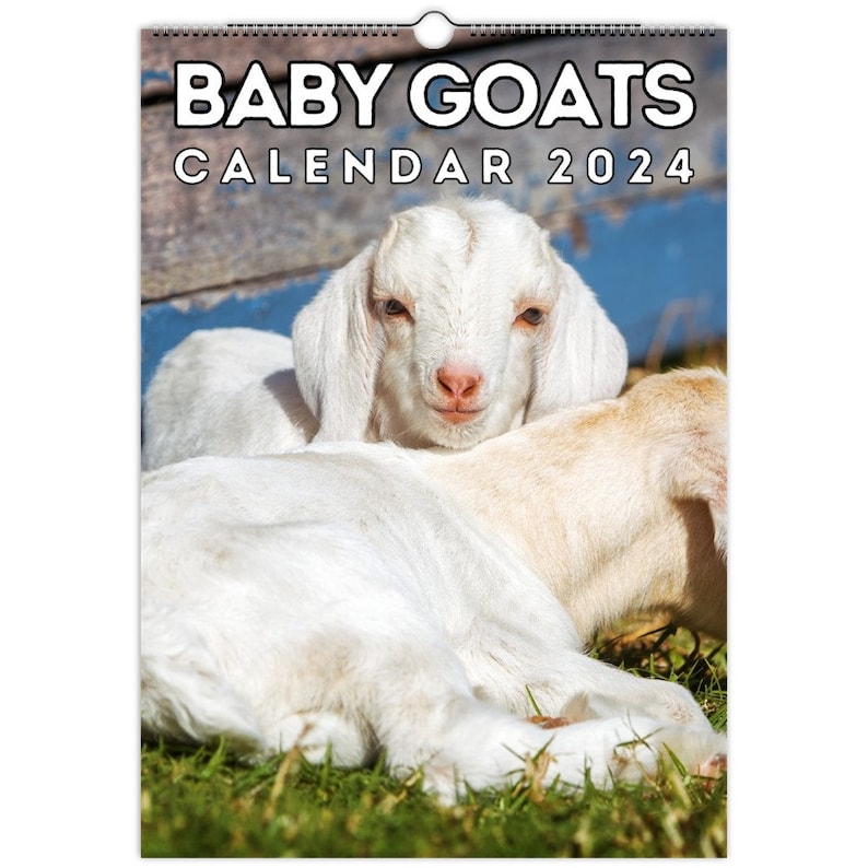 Baby Goats Wall Calendar 2024, Cute Gift Idea for Baby Goat Lovers Etsy