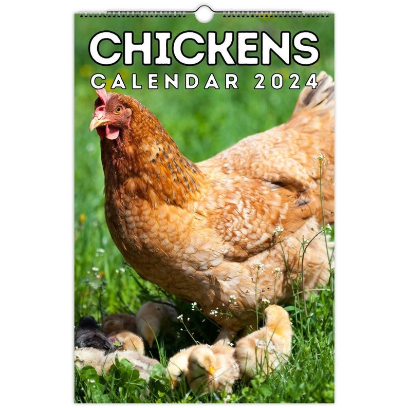 Chickens Wall Calendar 2024, Cute Gift Idea for Chicken Lovers Etsy
