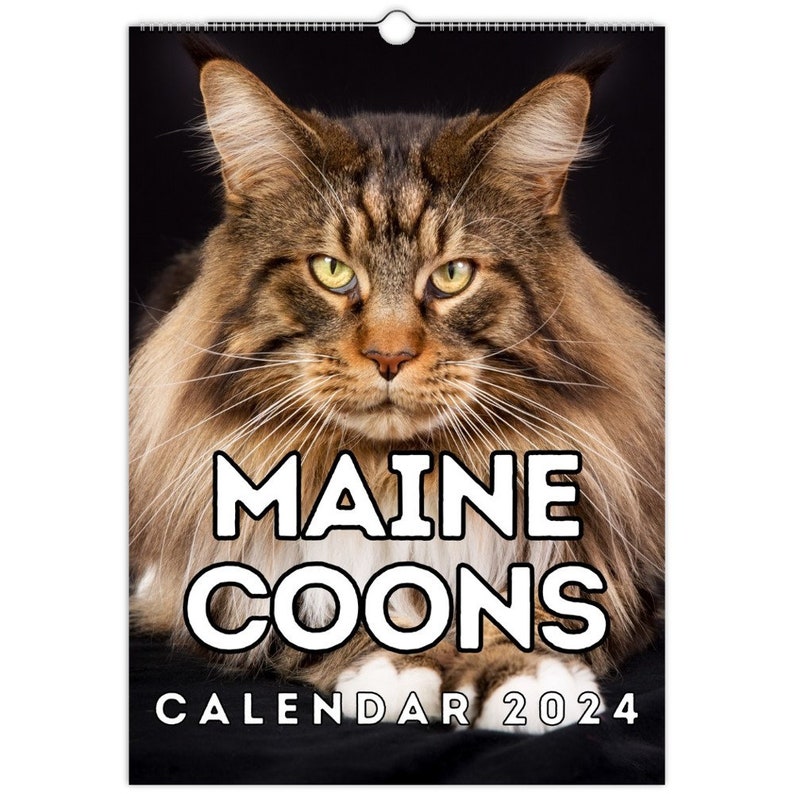 Maine Coons Wall Calendar 2024 Cute Gift Idea for Maine Coon Etsy