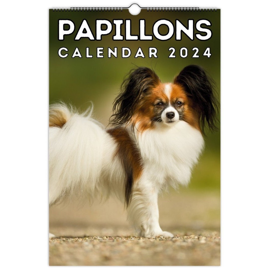 Papillons Wall Calendar 2024, Cute Gift Idea for Papillon Dog Lovers