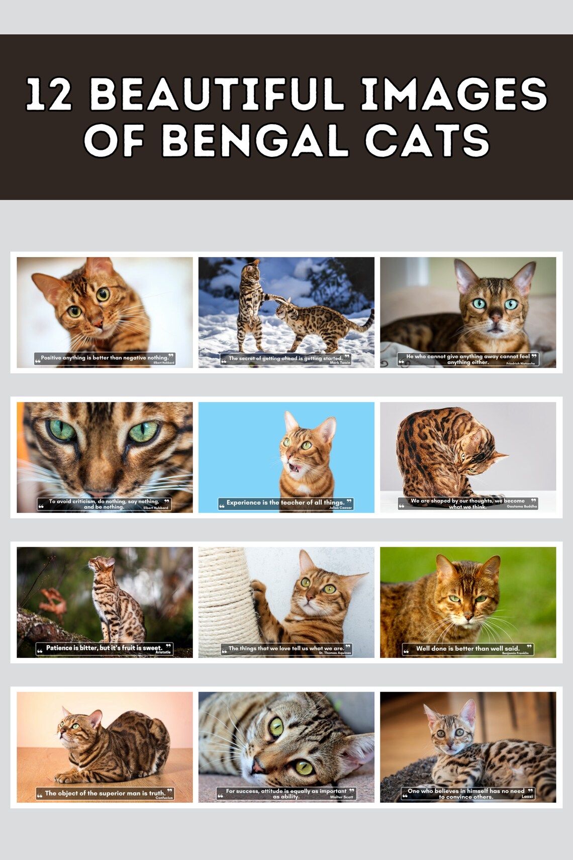 Bengal Cats Wall Calendar 2023 Cute Gift Idea for Bengal Cat Etsy
