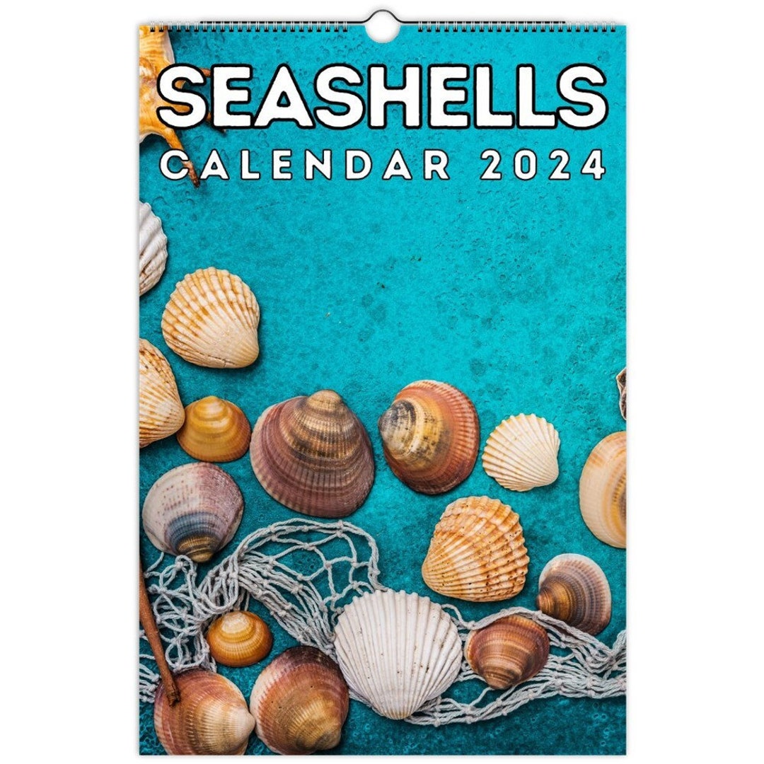 Seashells Wall Calendar 2024, Great Gift Idea for Seashell Lovers Etsy