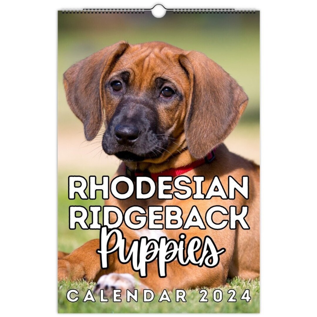 Rhodesian Ridgeback Puppies Wall Calendar 2024 Cute Gift Idea Etsy