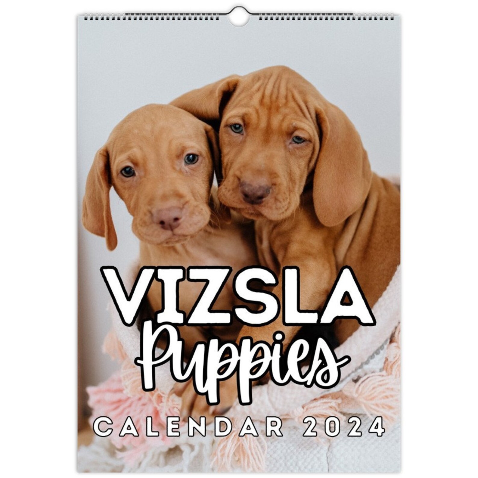 Vizsla Puppies Wall Calendar 2024 Cute Gift Idea for Vizsla Etsy