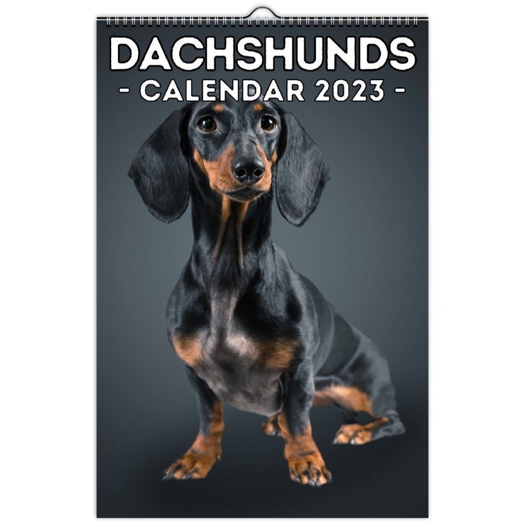 Dachshunds Wall Calendar 2023 Cute Gift Idea for Dachshund Etsy