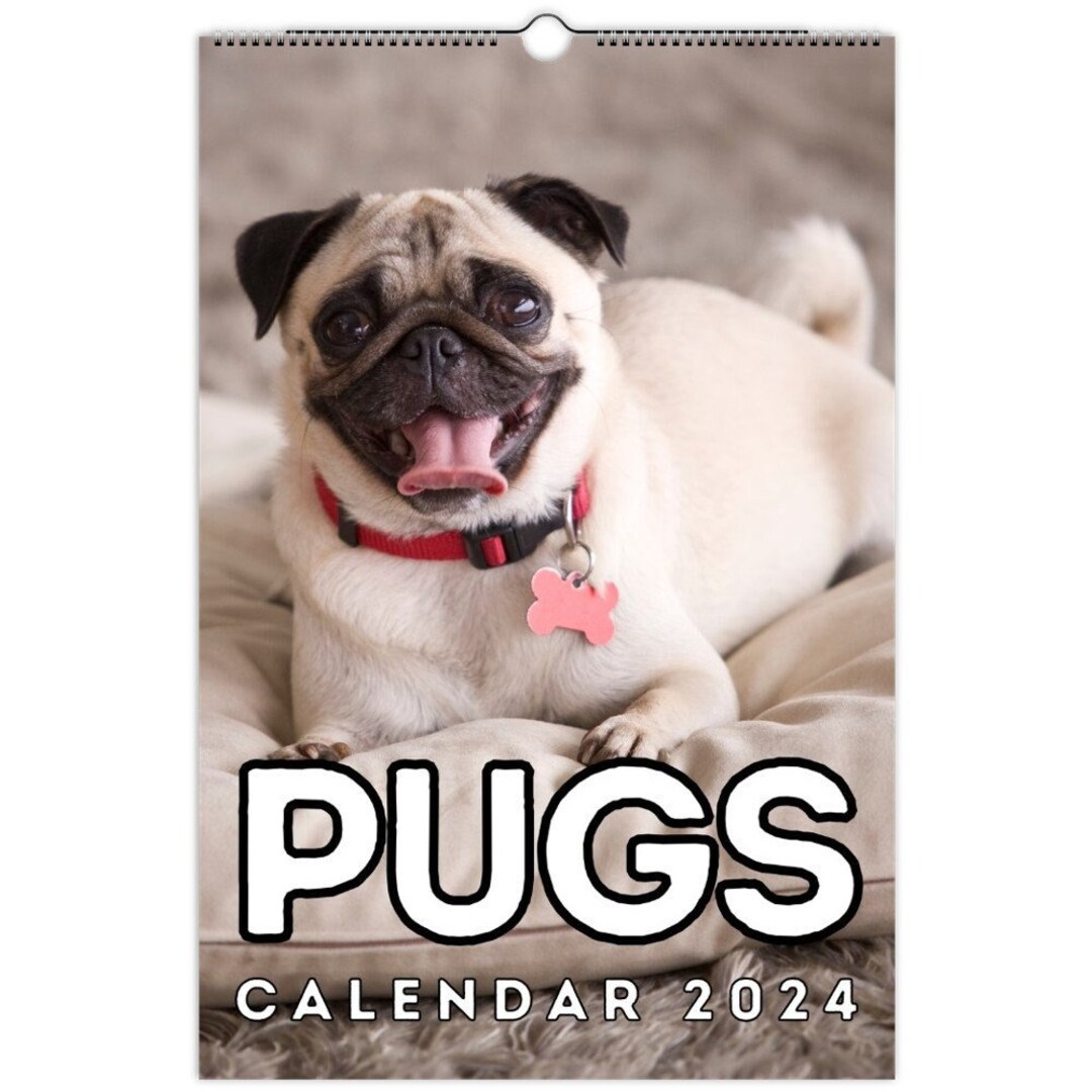 Pugs Wall Calendar 2024, Pug Gifts, Cute Gift Idea for Pug Lovers
