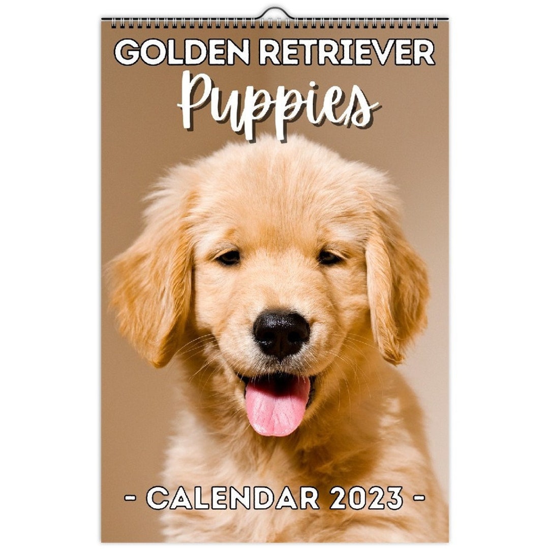 Golden Retriever Puppies Wall Calendar 2023 Cute Gift Idea - Etsy