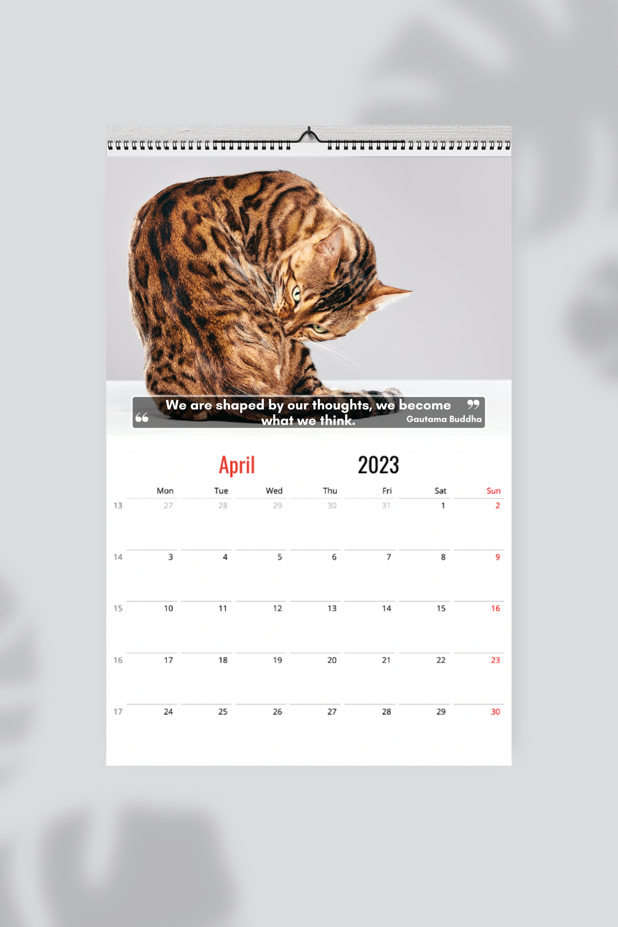 Bengal Cats Wall Calendar 2023 Cute Gift Idea for Bengal Cat Etsy
