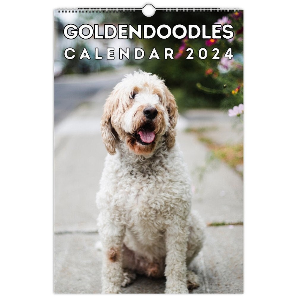Goldendoodles Wall Calendar 2024, Cute Gift Idea for Goldendoodle Lovers -  Etsy