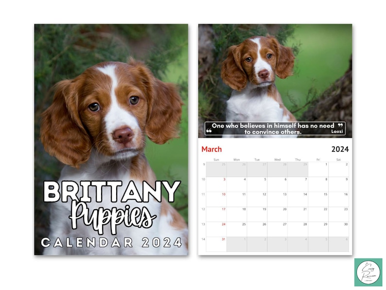 Brittany Puppies Wall Calendar 2024 Cute Gift Idea for Etsy