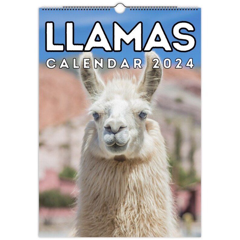 Llamas Wall Calendar 2024 Cute Gift Idea for Llama Lovers Etsy