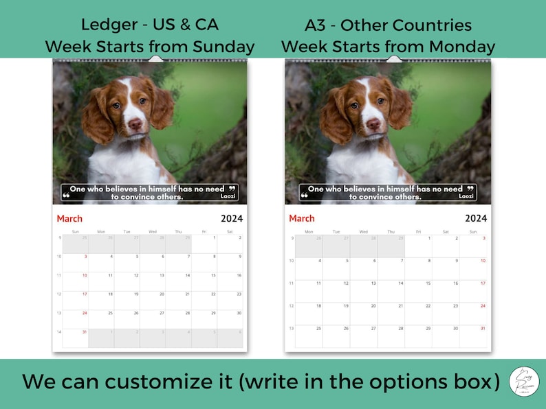 Brittany Puppies Wall Calendar 2024 Cute Gift Idea for Etsy