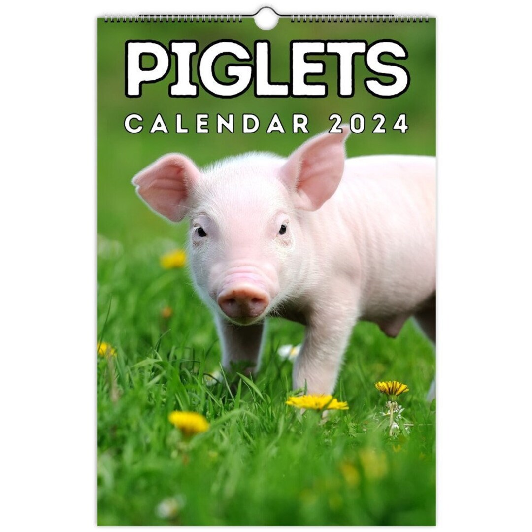Piglets Wall Calendar 2024, Cute Gift Idea for Pig & Piglet Lovers Etsy