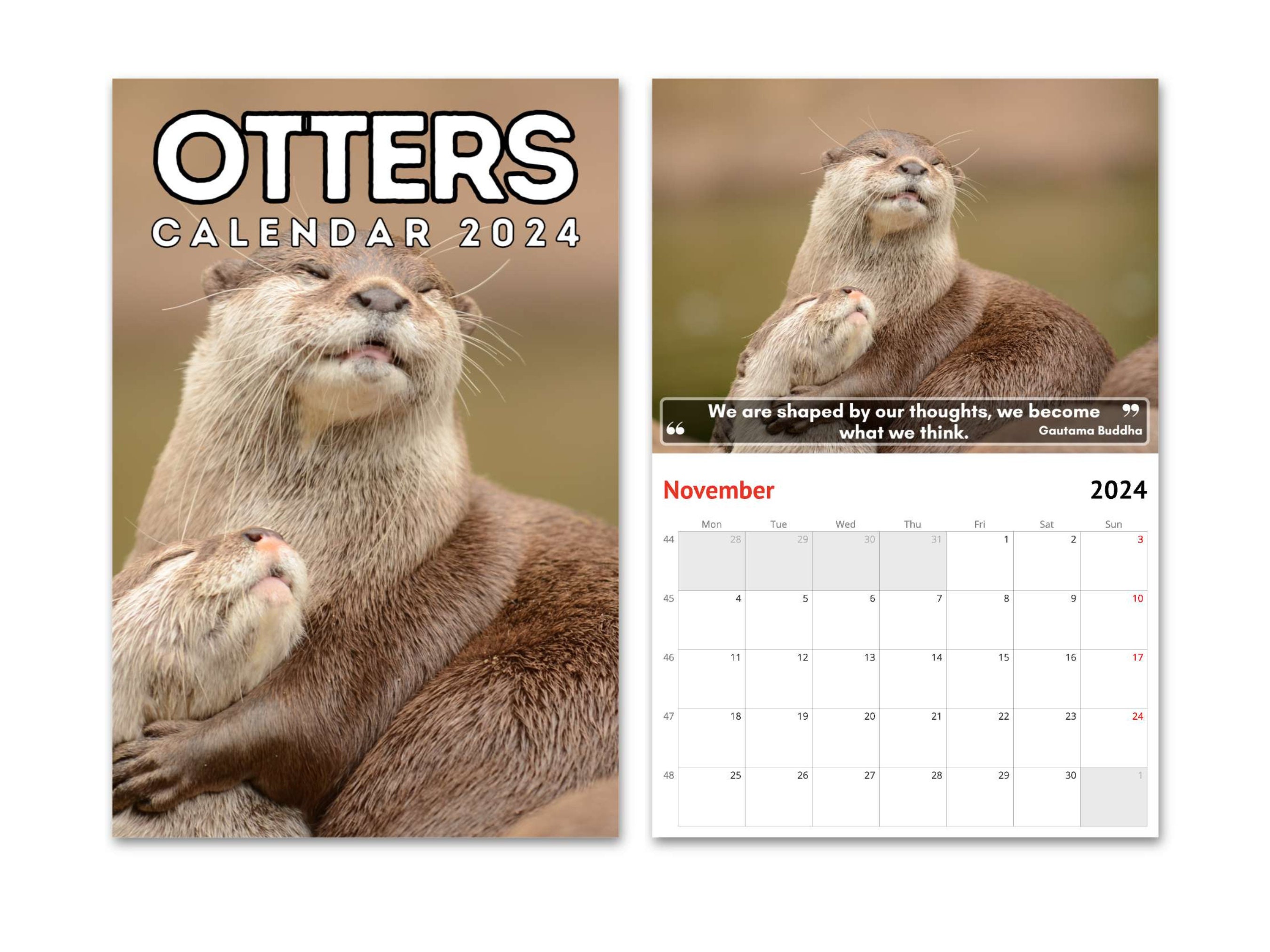 Otters Wall Calendar 2024, Cute Gift Idea for Otter Lovers Etsy