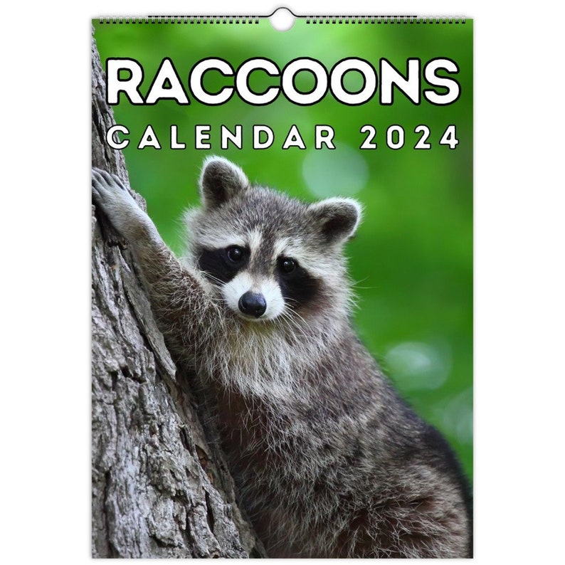 Raccoons Wall Calendar 2025 Cute Gift Idea for Raccoon Etsy