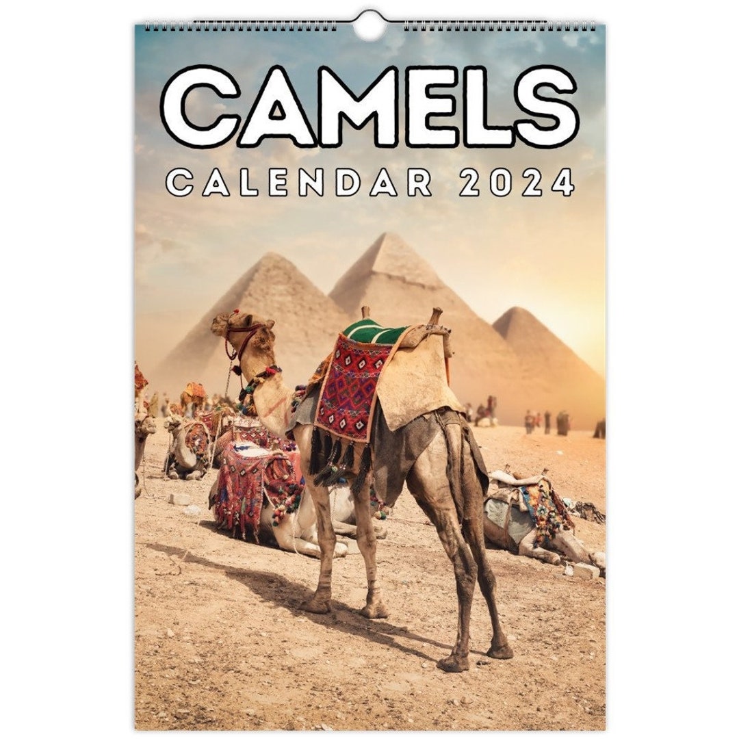 Camels Wall Calendar 2024, Cute Gift Idea for Camel Lovers Etsy