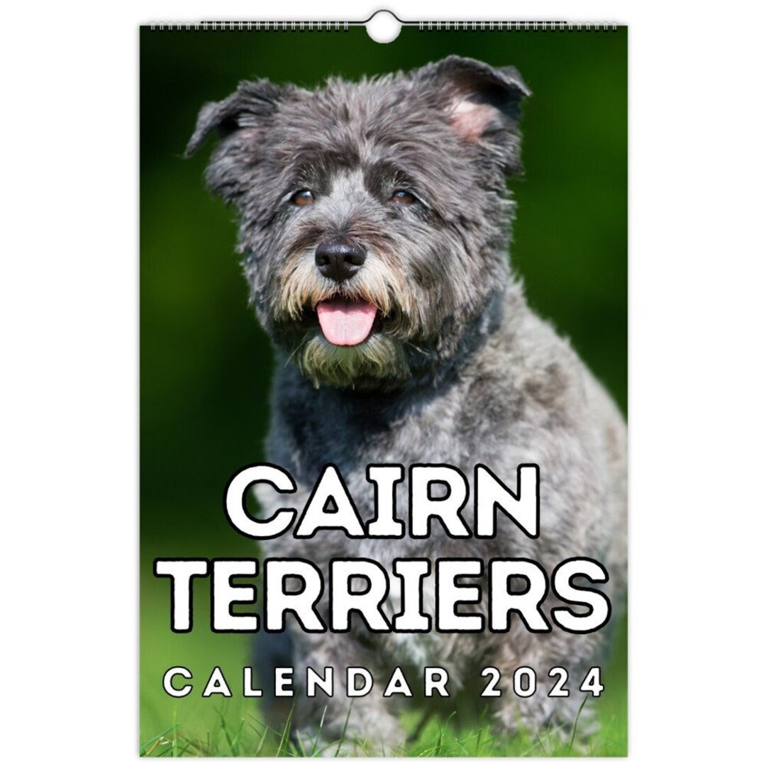 Cairn Terriers Wall Calendar 2024, Cute Gift Idea for Cairn Terrier