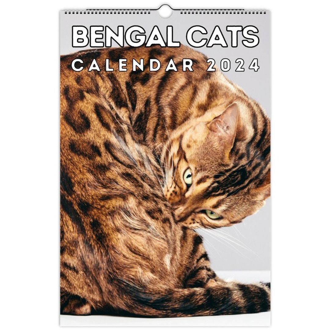 Calendario da parete dei gatti del Bengala 2024, idea regalo