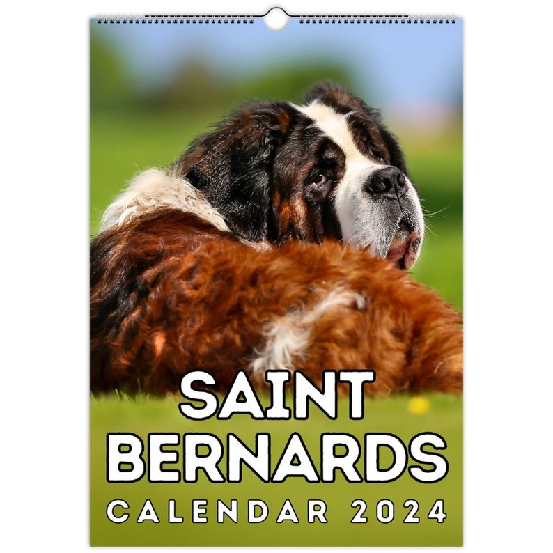 Saint Bernards Wall Calendar 2024 Cute Gift Idea for Saint Etsy