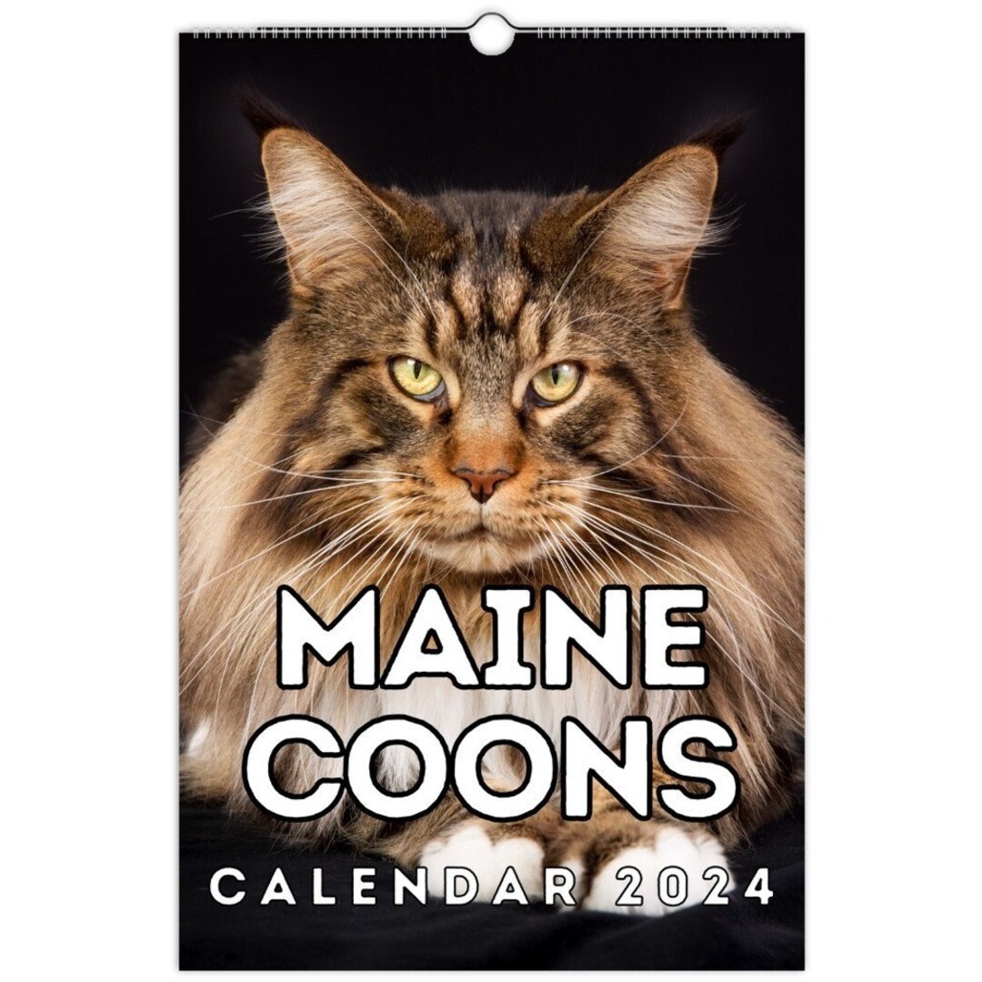 Maine Coons Wall Calendar 2024, Cute Gift Idea for Maine Coon Cat Lovers - Etsy maine-coons-wall-calendar-2024-cute-gift-idea-for-maine-coon-cat-lovers-etsy