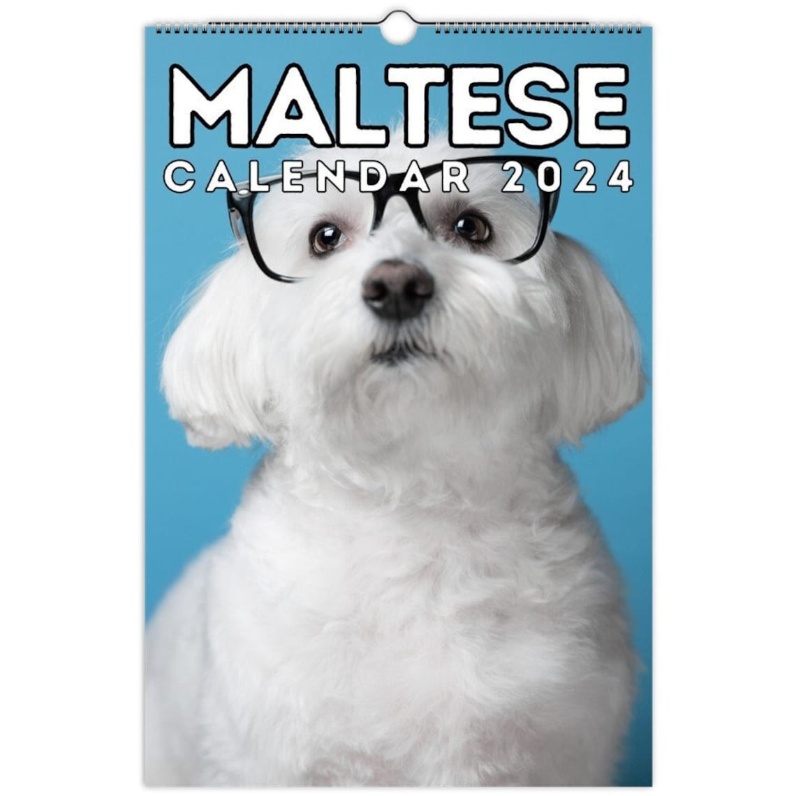 Maltese Wall Calendar 2024 Cute Gift Idea for Maltese Dog Etsy Australia