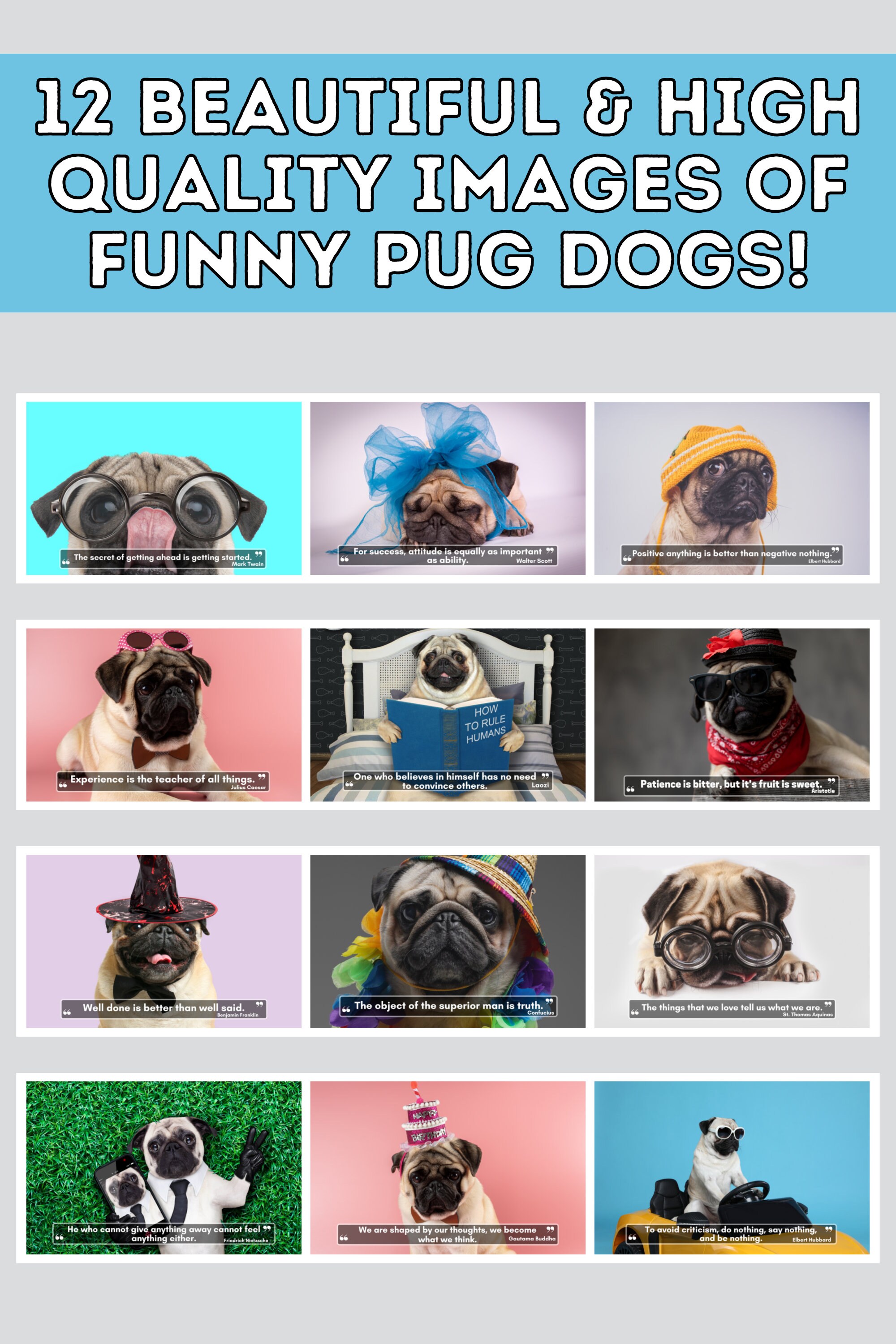 Funny Pugs Wall Calendar 2024, Pug Gifts, Cute Gift Idea for Pug Lovers