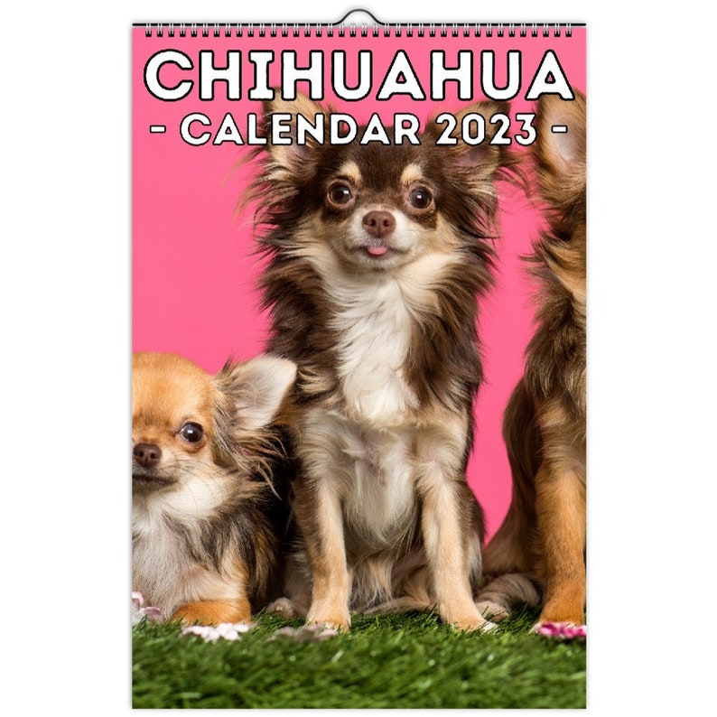 Chihuahua Calendar 2023 Cute Gift Idea for Chihuahua Lovers & Etsy