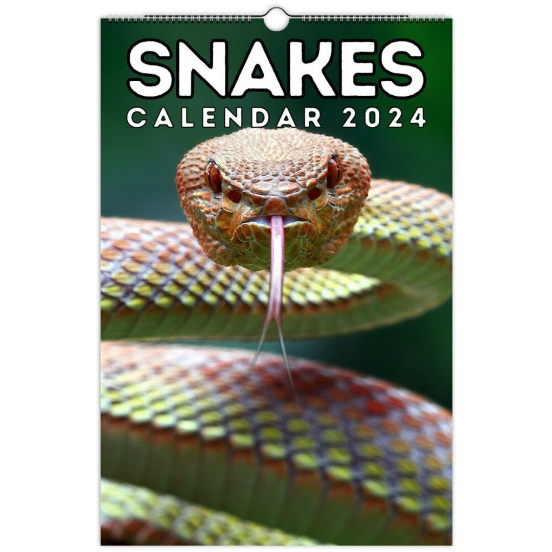 Snakes Wall Calendar 2024 Great Gift Idea for Snakes Lovers Etsy