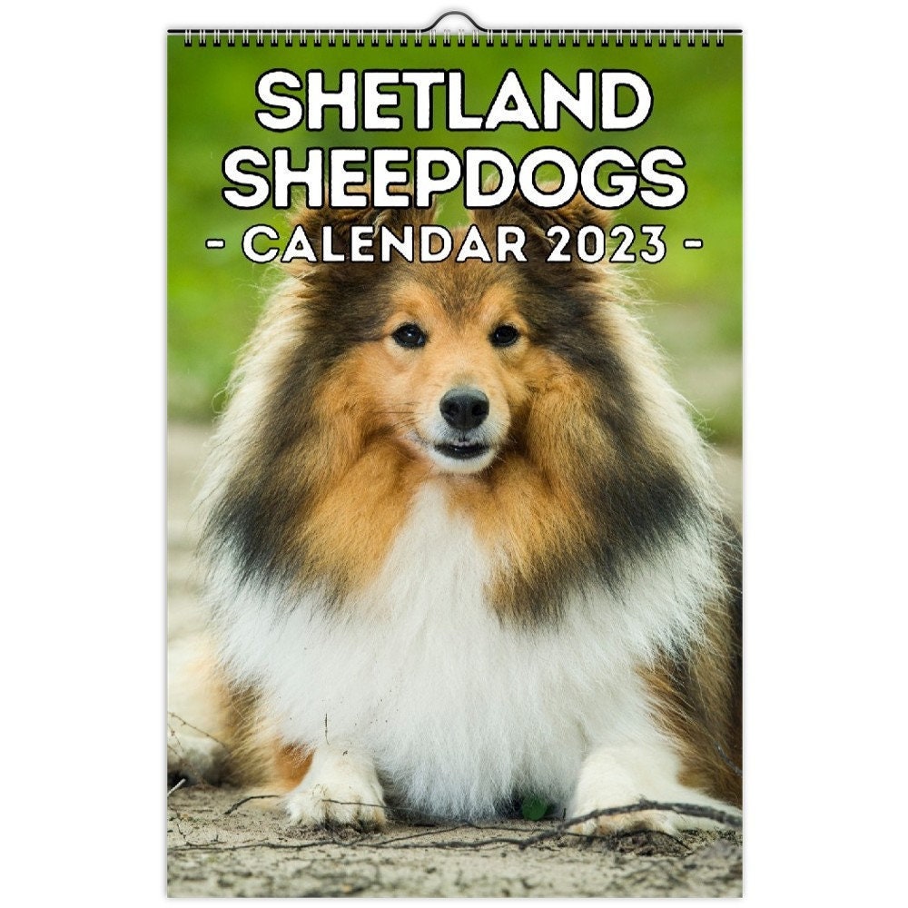 Sheltie Puppies Calendar 2023 lupon.gov.ph
