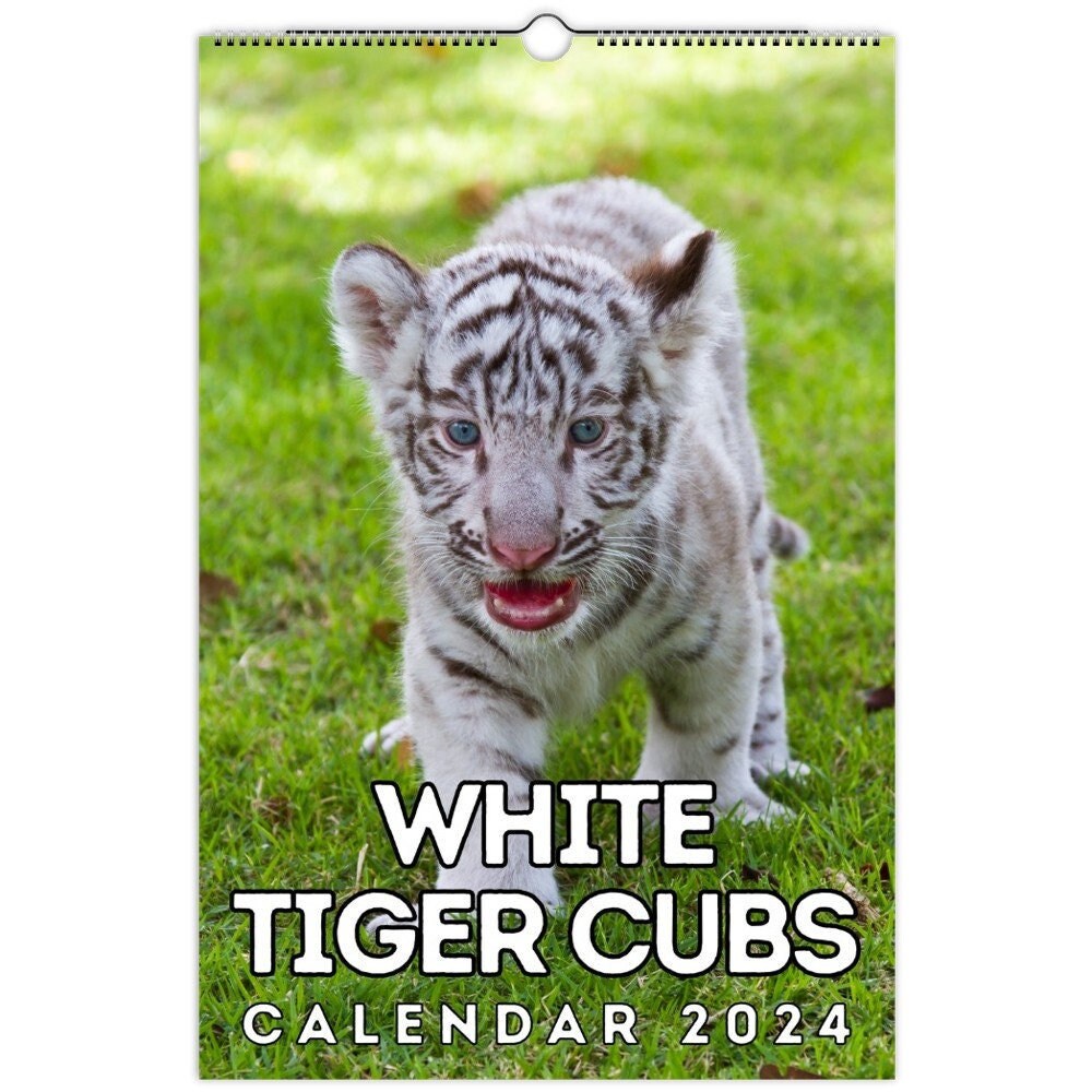 White Tiger Cubs Wall Calendar 2024 Cute Gift Idea for White Etsy