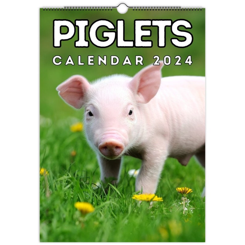 Piglets Wall Calendar 2024, Cute Gift Idea for Pig & Piglet Lovers Etsy