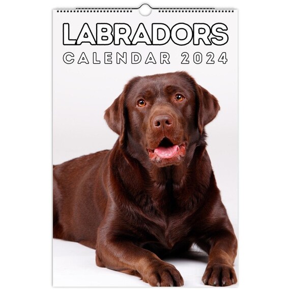Labradors Wall Calendar 2024, Cute Gift for Labrador Retriever Lovers - Etsy labradors-wall-calendar-2024-cute-gift-for-labrador-retriever-lovers-etsy