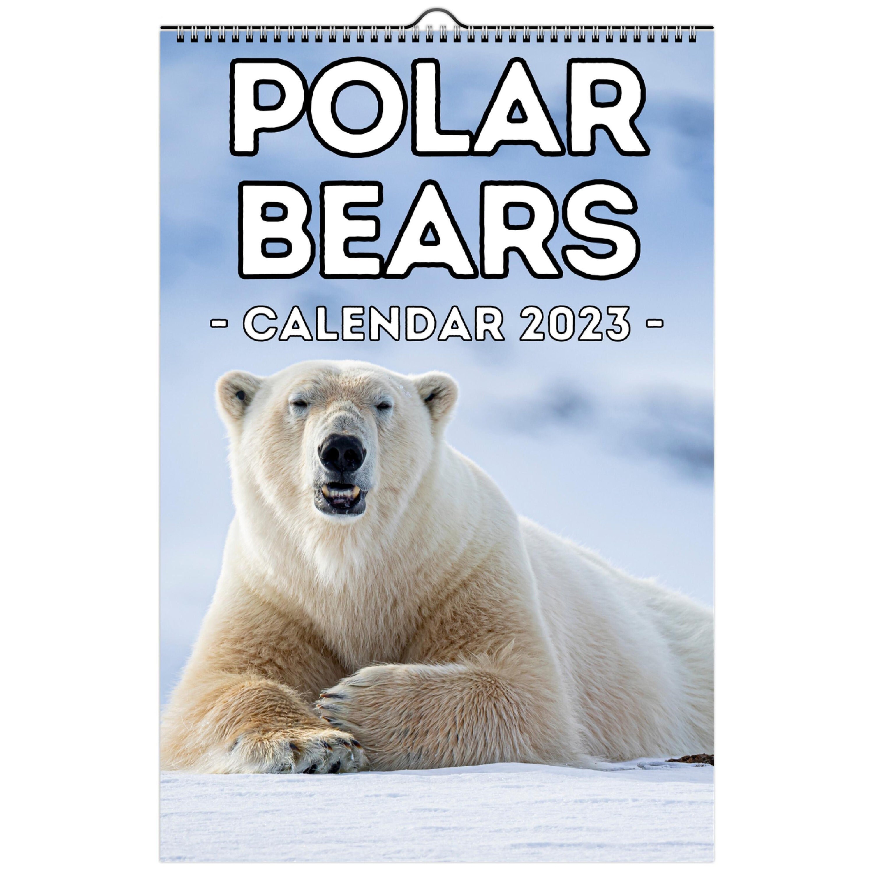 Polar Bears Wall Calendar 2023 Cute Gift Idea for Polar Bear - Etsy