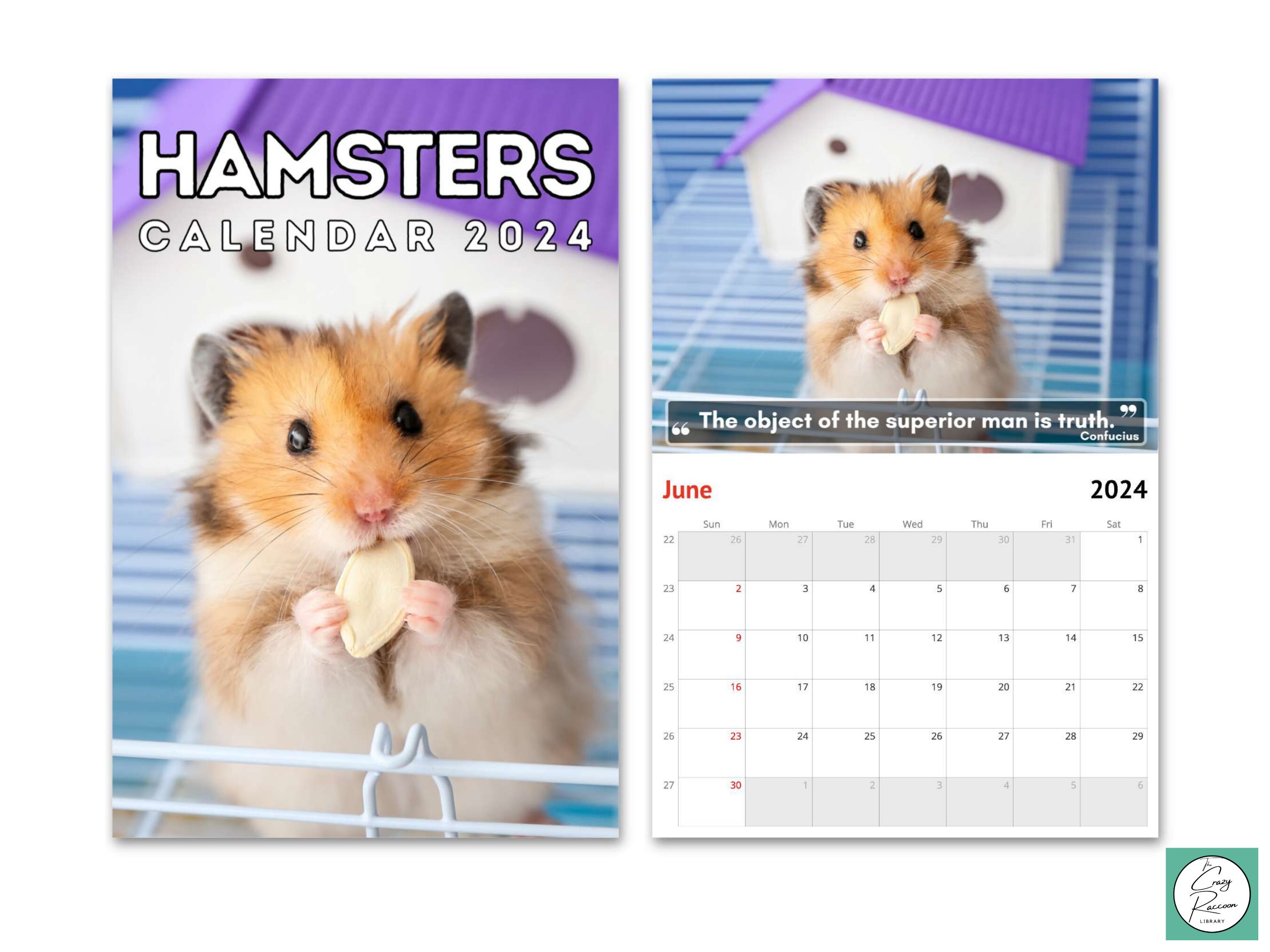 Hamsters Wall Calendar 2024, Cute Gift Idea for Hamster Lovers Etsy UK