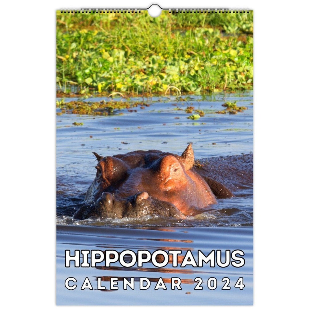 Hippopotamus Wall Calendar 2024, Cute Gift Idea for Hippo Lovers Etsy