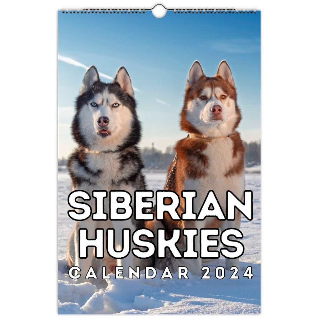 Siberian Huskies Wall Calendar 2024, Cute Gift Idea for Siberian Husky  Lovers - Etsy Finland