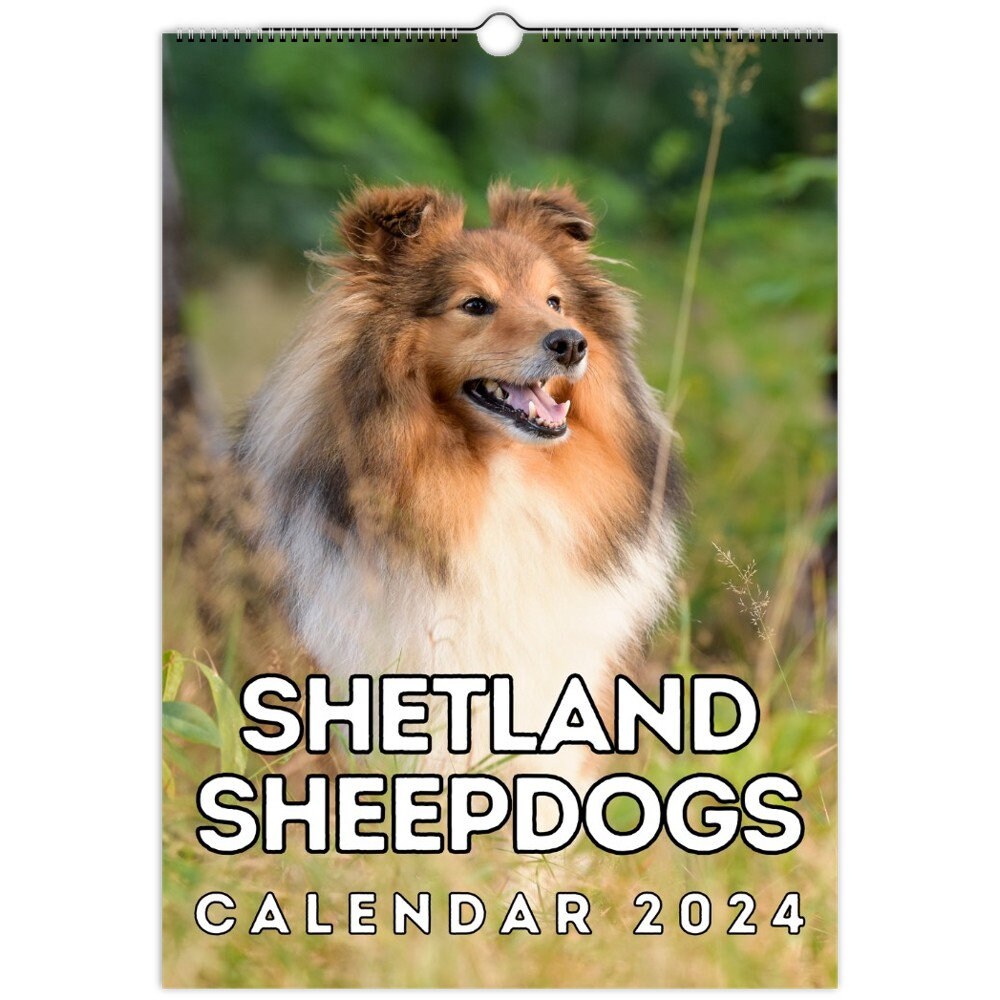 Sheltie Calendar 2025 Calendar Week lynna jaquelyn