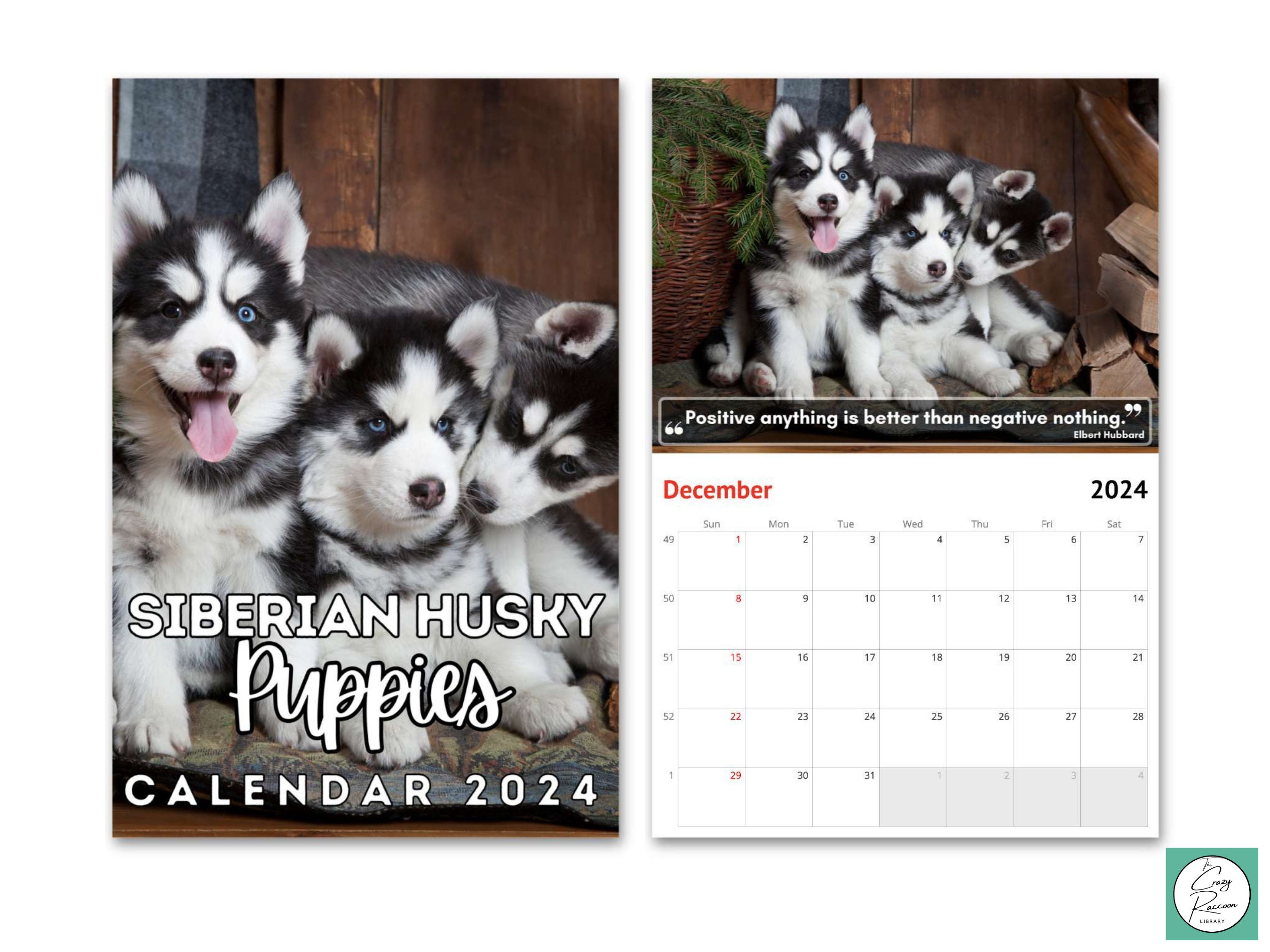 Siberian Husky Puppies Wall Calendar 2024, Cute Gift Idea for Siberian Husky  Lovers - Etsy