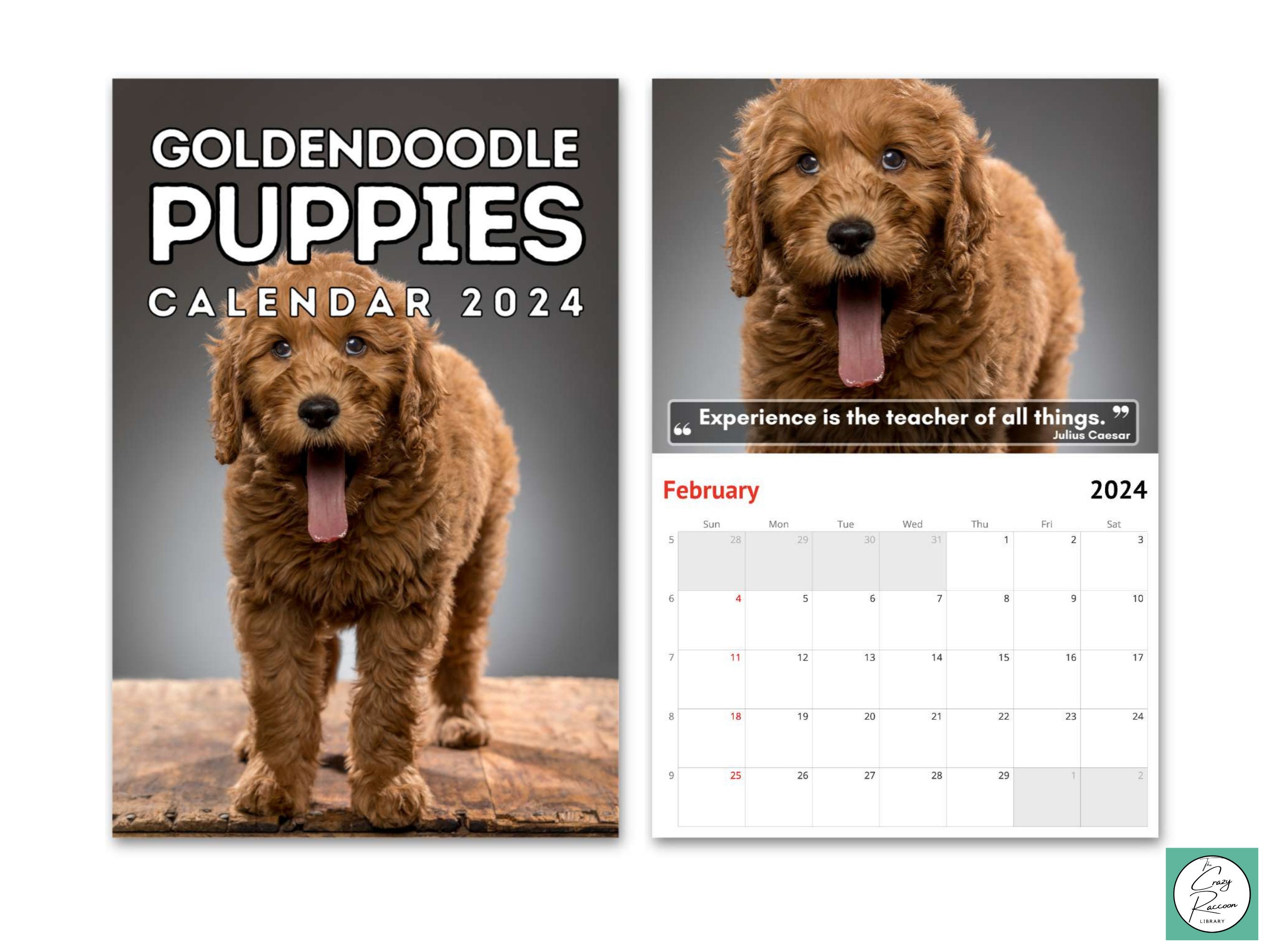 Goldendoodle Puppies Wall Calendar 2024, Cute Gift Idea for Doodle Lovers -  Etsy