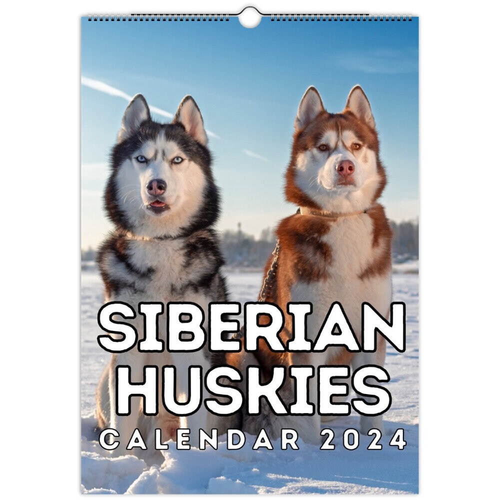 Siberian Huskies Wall Calendar 2024, Cute Gift Idea for Siberian Husky