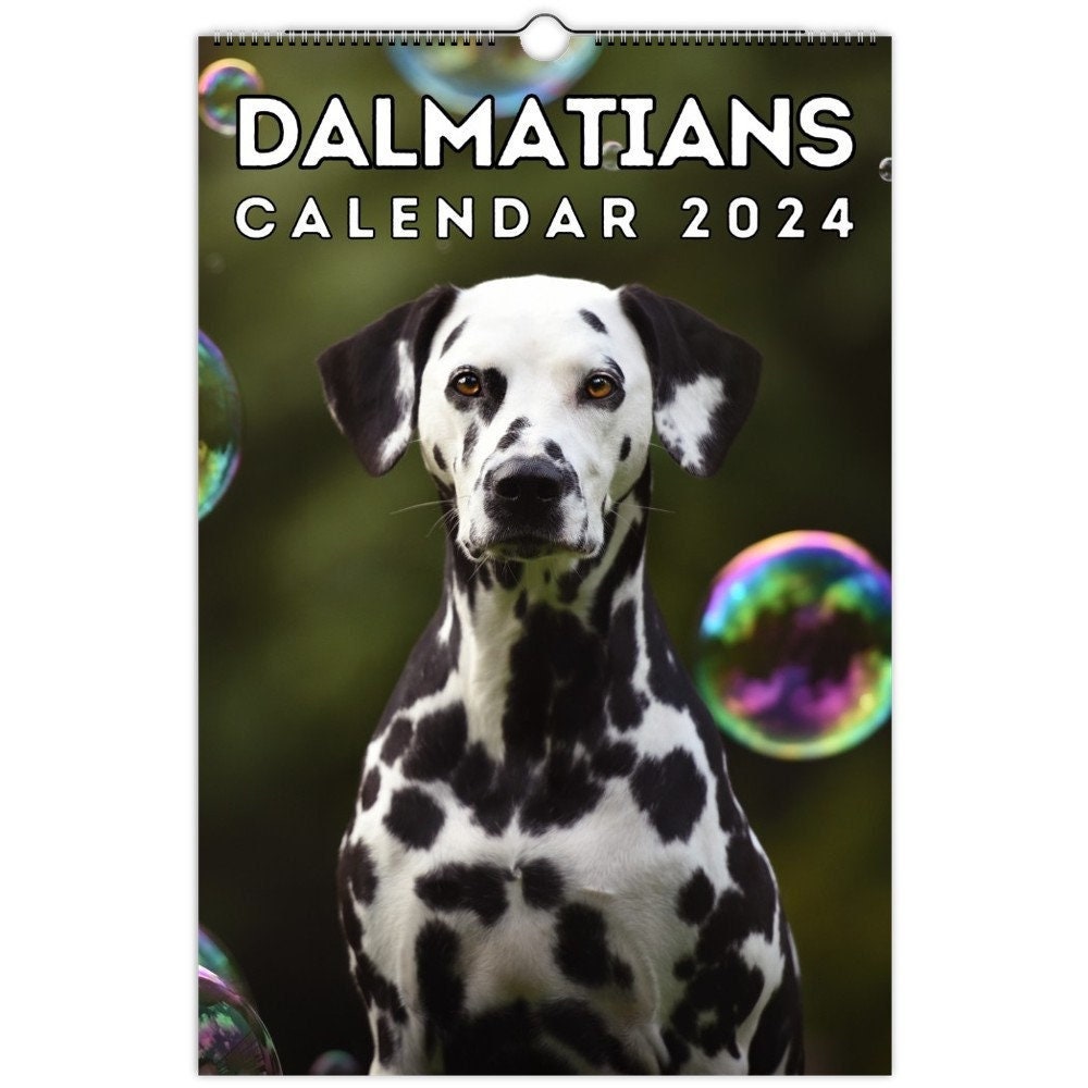 Dalmatians Wall Calendar 2024, Dalmatian Gifts, Cute Gift Idea for