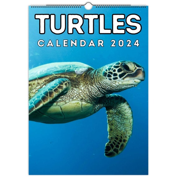 Ridley Tree Calendar 2024 Farra Jeniece