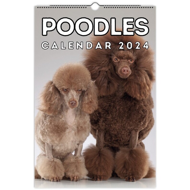 Poodles Wall Calendar 2024, Poodle Gift for Poddle Owners & Lovers Etsy