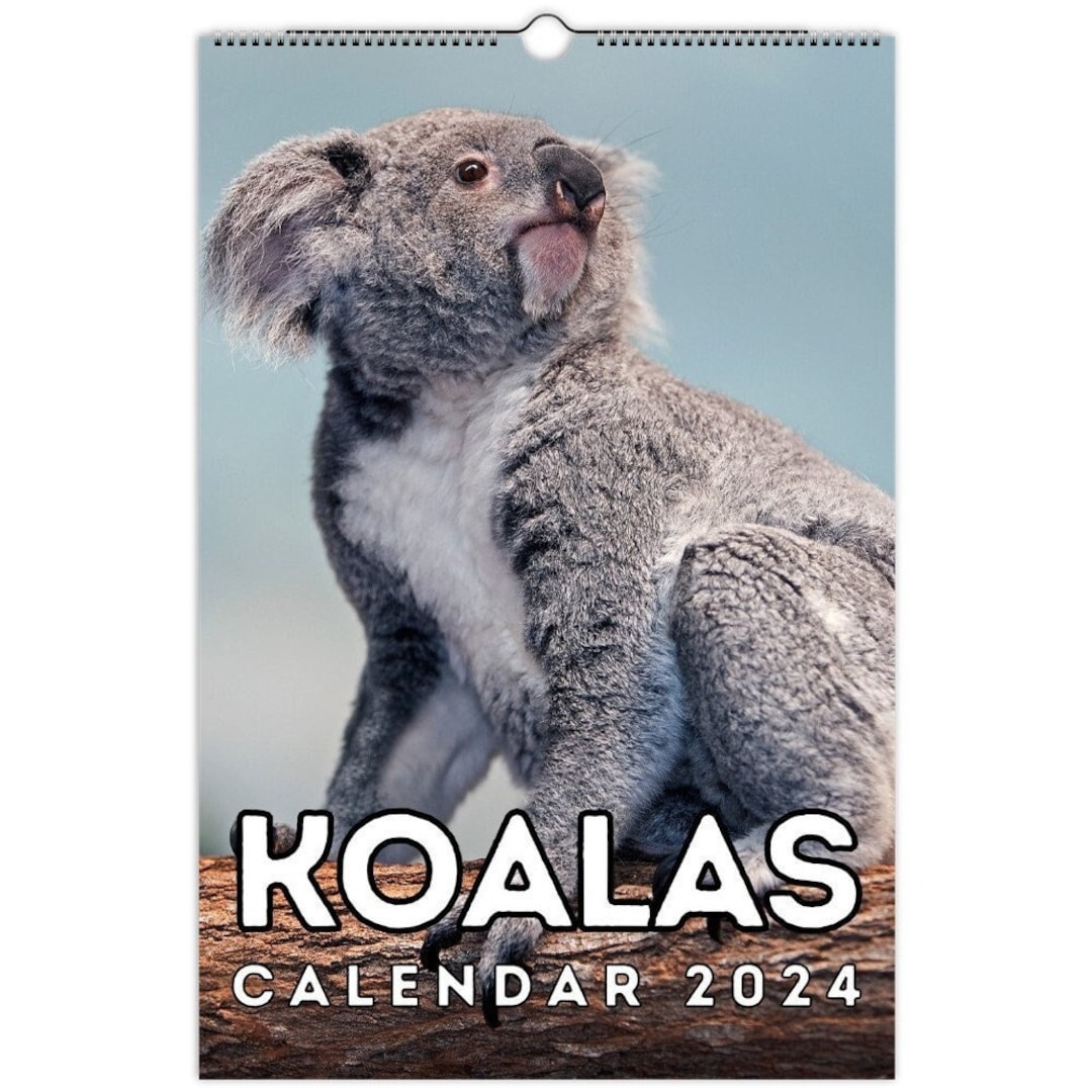 Koalas Wall Calendar 2024 Cute Gift Idea for Koala Lovers Etsy